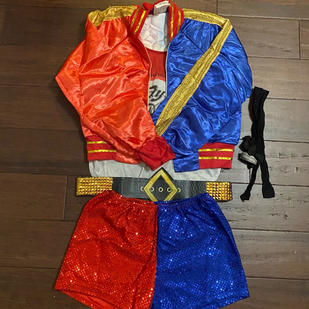 Harley Quinn Halloween costume